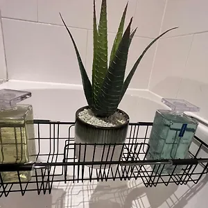 Precioushouseluxurystay London